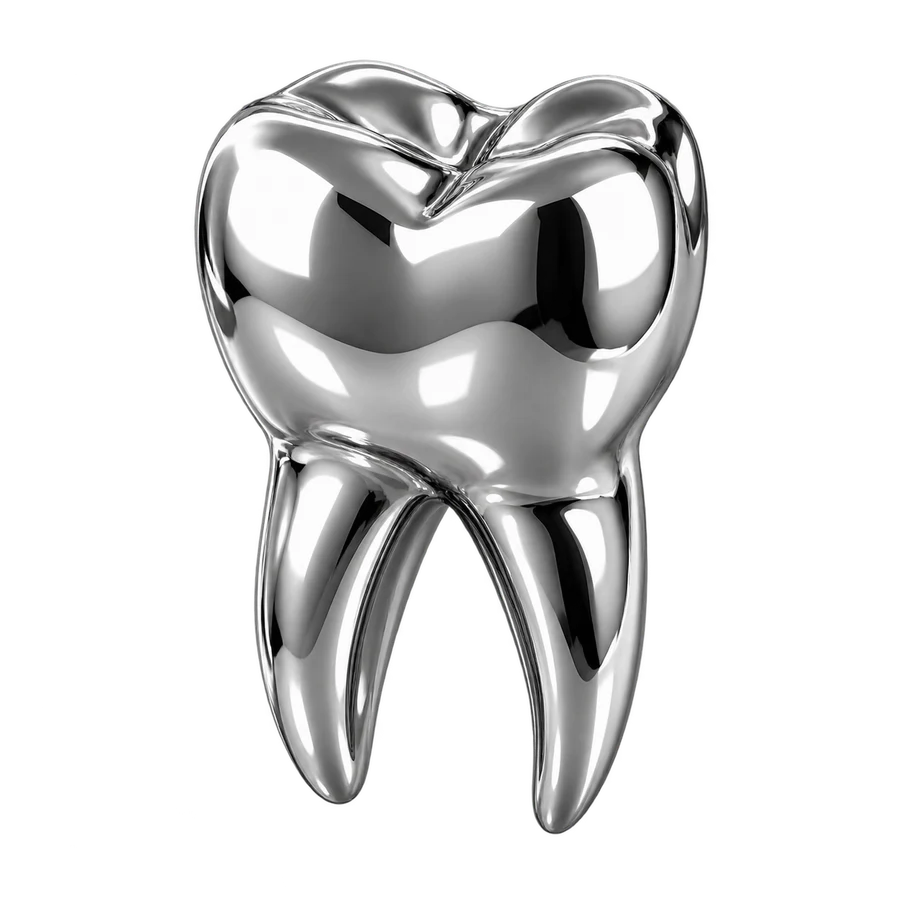 A polished silver molar tooth with a rounded crown and two tapered roots